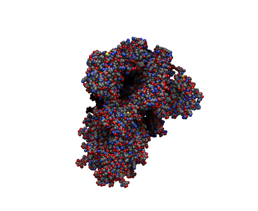 Example of real-time shadows and ambient occlusion on the COVID spike protein (6vxx)