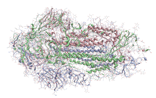 Example of the new protein cartoon ribbons in the COVID spike protein 6vxx